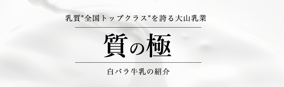 白バラ牛乳の紹介